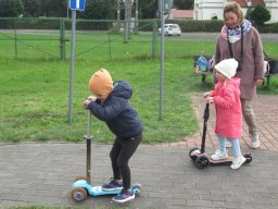 2025-09-26 Biedronki w Chojnie